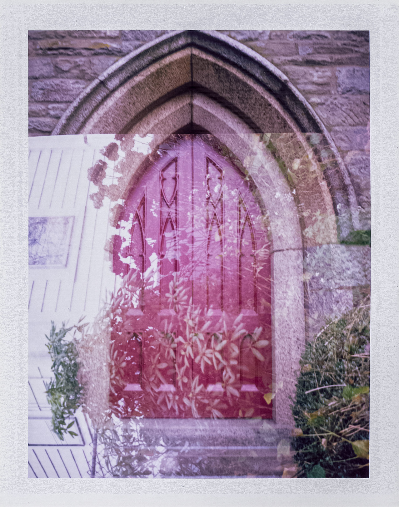 A Polaroid double-exposure of a red arched gothic door and a cluster of plants.