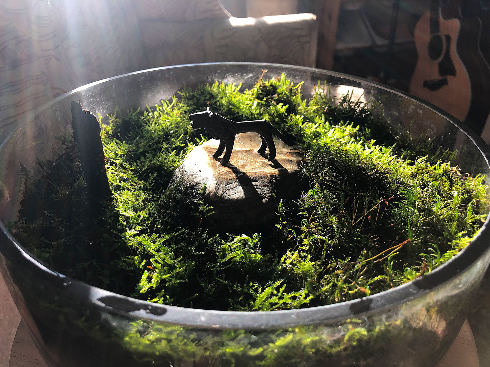 Sunbeam descending onto a glass bowl filled with a variety of bright green mosses … 

in the center, there’s a flat rock with a tiny bronze figure of a lion proudly taking in the light.