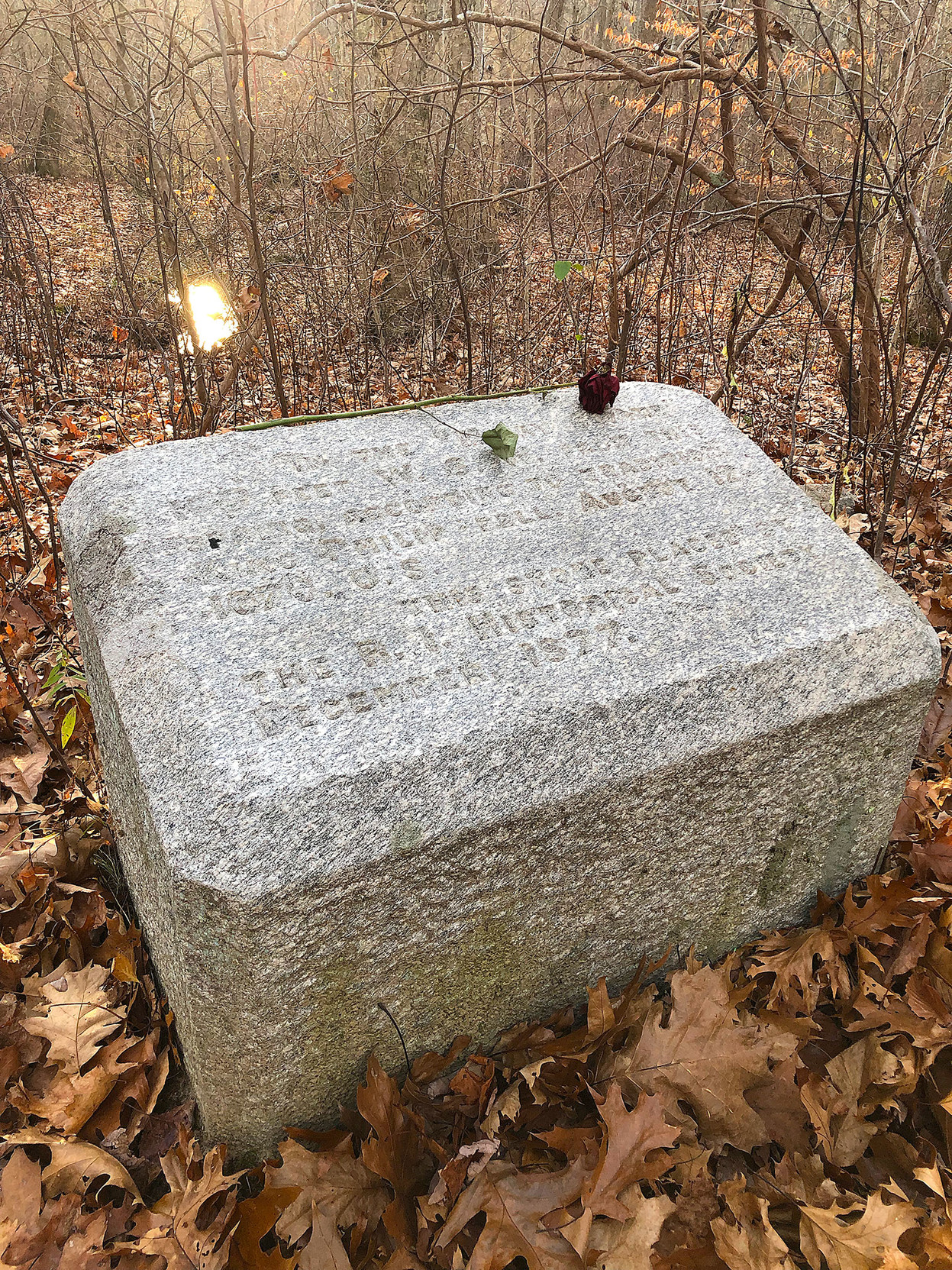 • The photo shows the marker commemorating Chief Metacom’s death. (He was given the name King Philip by the settlers.) Someone left a rose at least a couple days ago; it was wilted.
 
 The stone reads: “In the Miery Swamp, 168 feet WSW from this spring, according to tradition, King Philip fell. August 12, 1676. O.S. 
 
 This stone placed by the R.I. Historical Society December, 1877.”