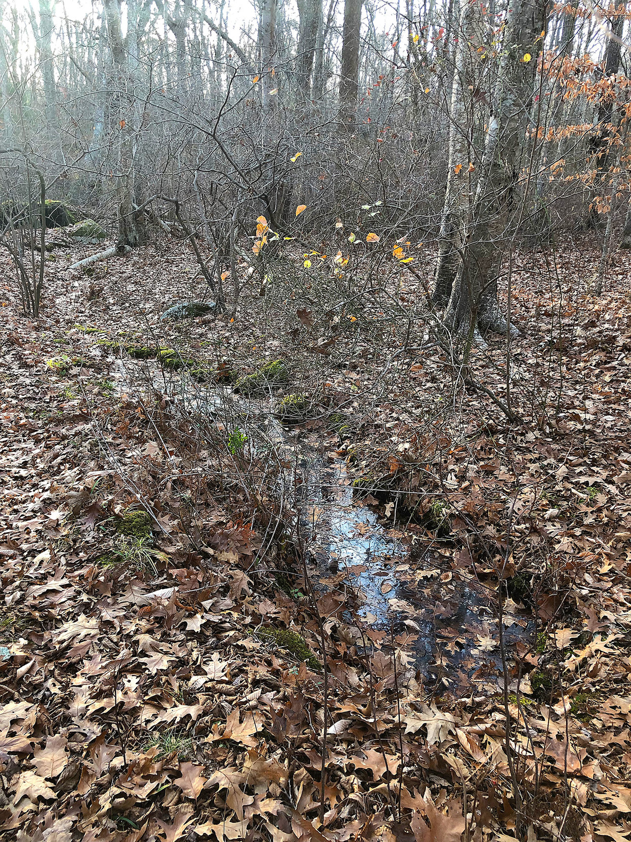  • The spring the marker refers to, flowing away midst fallen leaves.