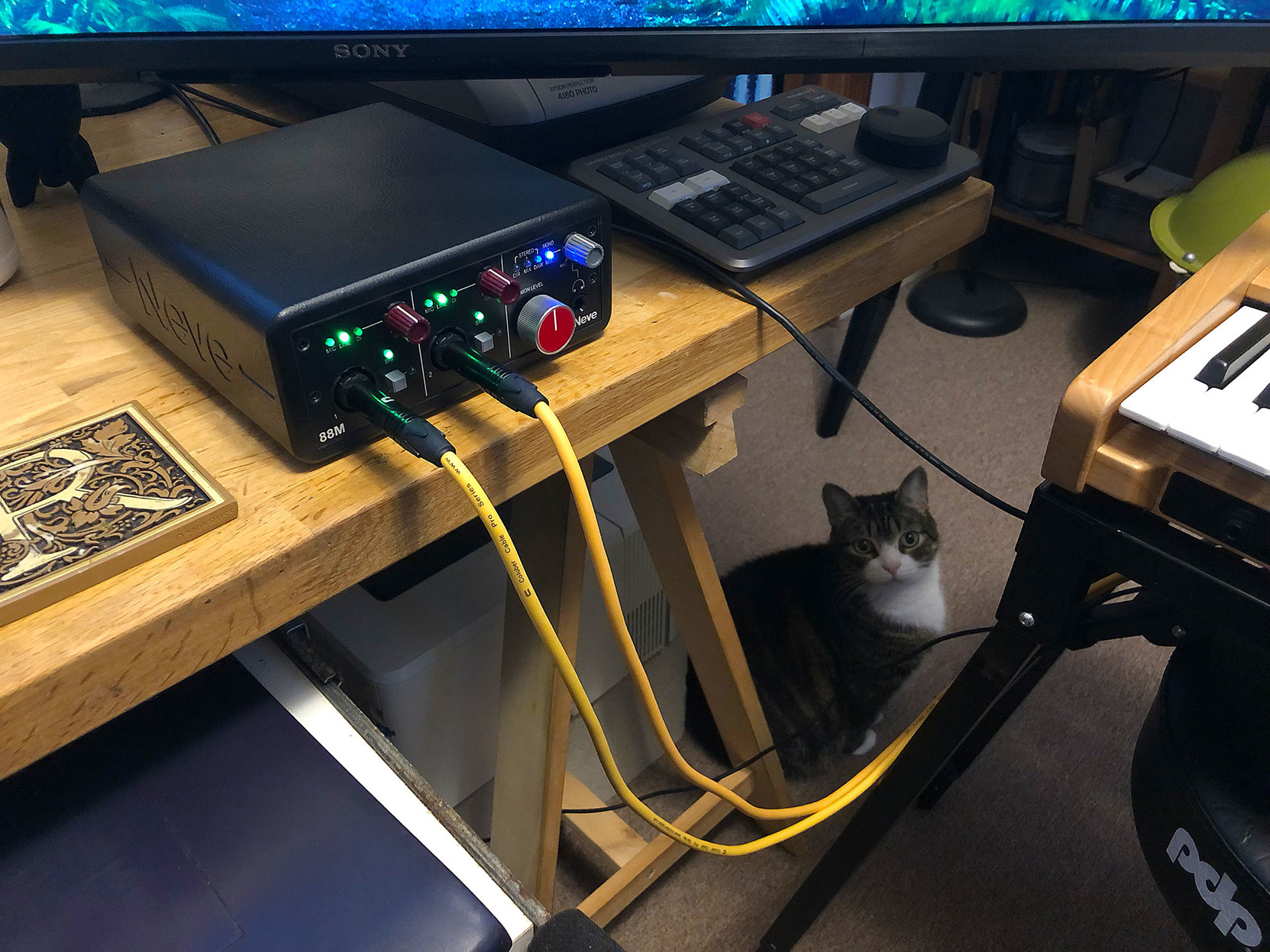 There’s a little black box on my desk, with tiny colored light on the front.

Two pricey audio cables connect it to my synthesizer on the right,

while Milla the kitty keeps an eye on the proceedings.