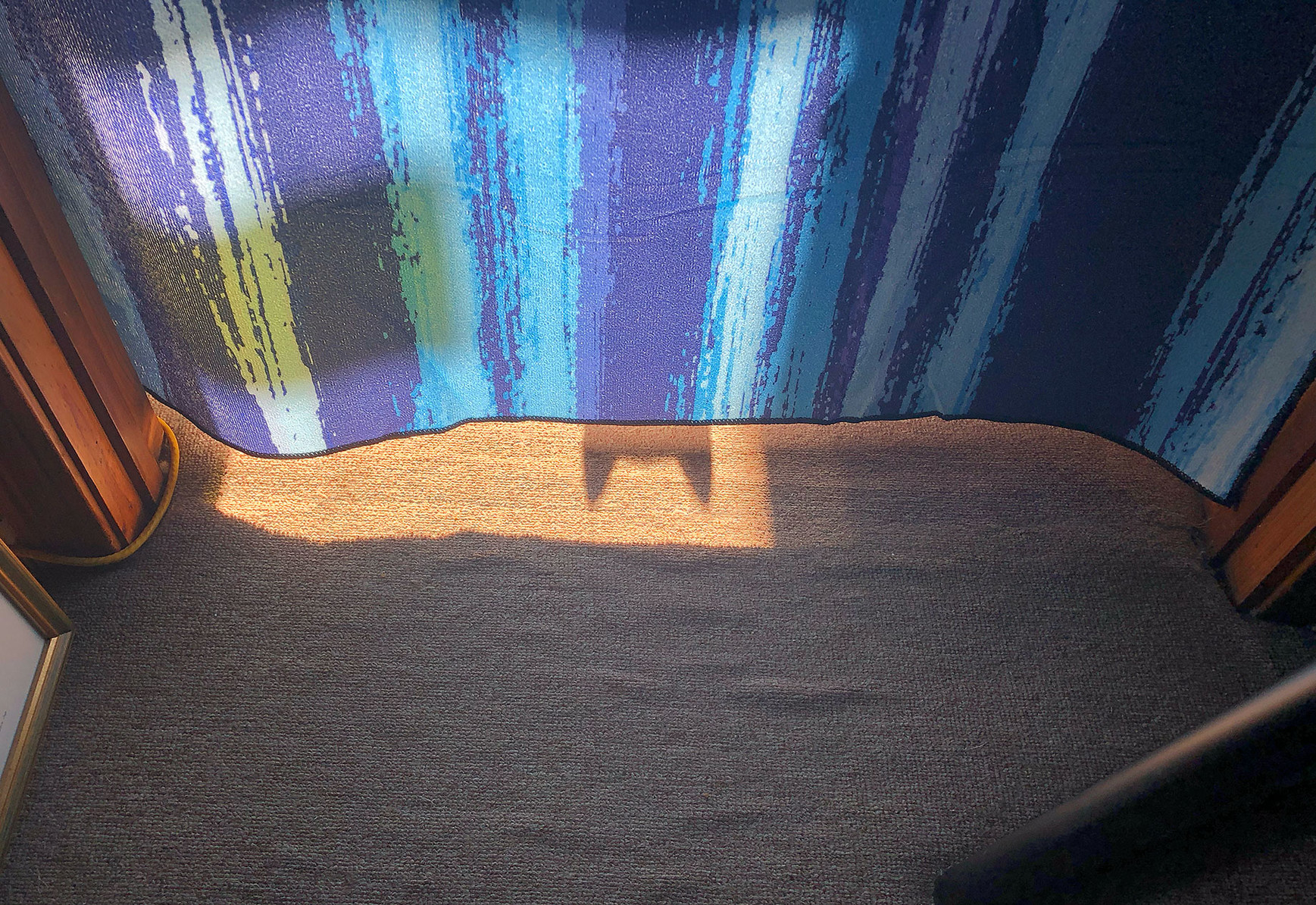 Milla the kitty waits outside the studio, casting a BatCat-like shadow of two pointy ears on the carpet.