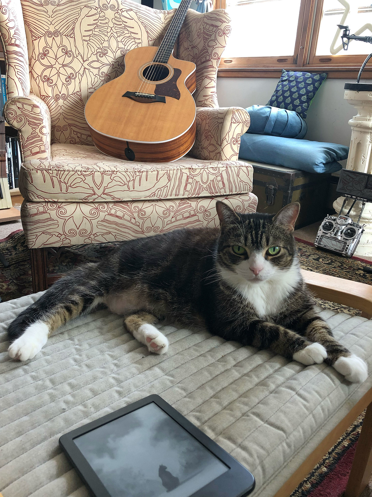 Milla the kitty is lying on an ottoman in the living room, and there’s a Taylor koa guitar sitting on a chair in the background.
