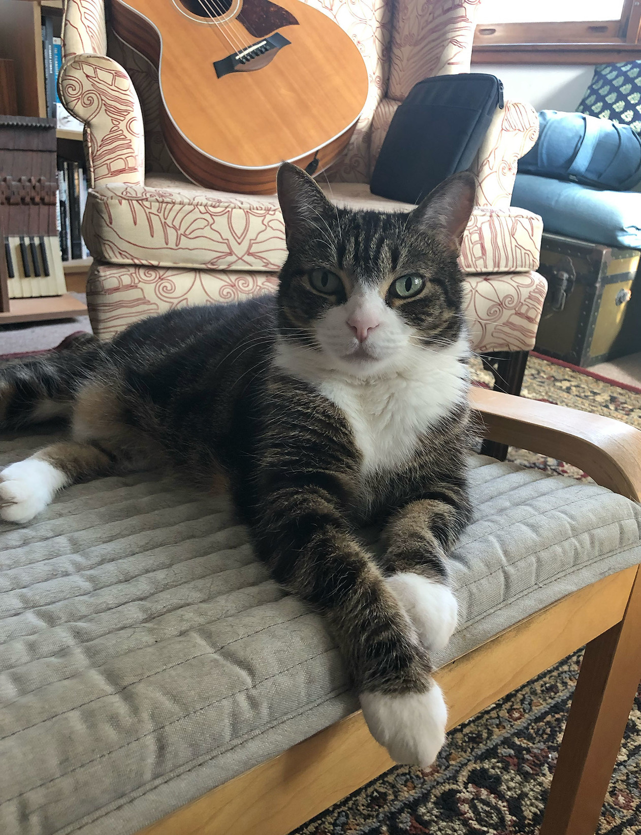 I’m reading, she’s purring. Better days.