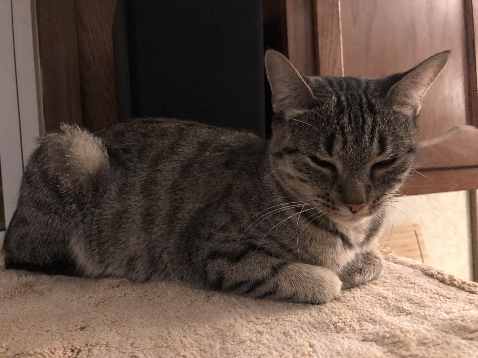 Time for a restorative snooze.