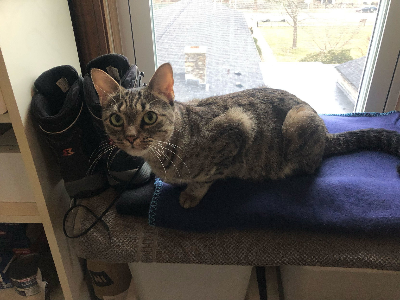 Lola looks back at the camera. “Are you done yet?”