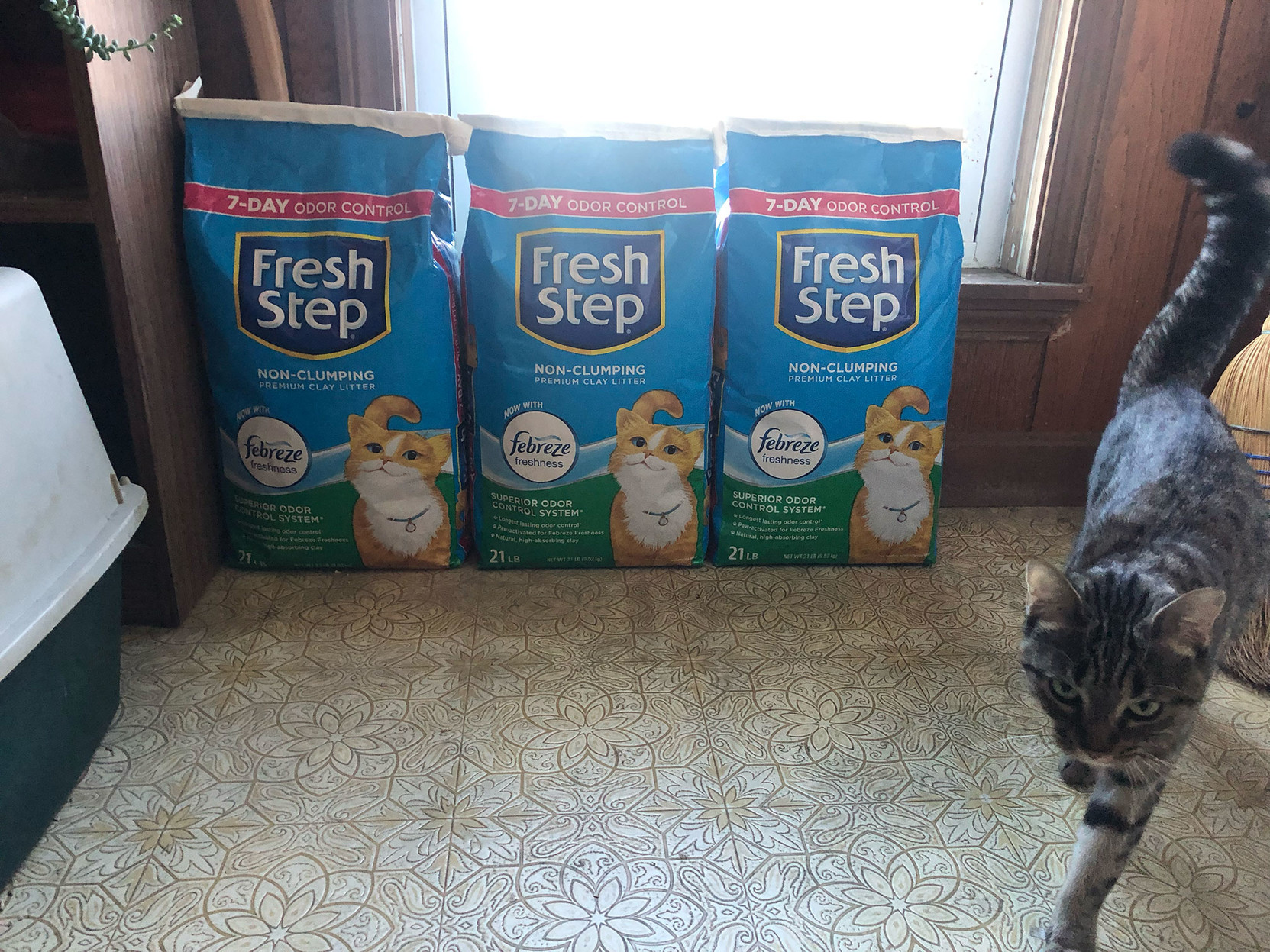 That’s 63 pounds of kitty litter, lined up and ready to go.