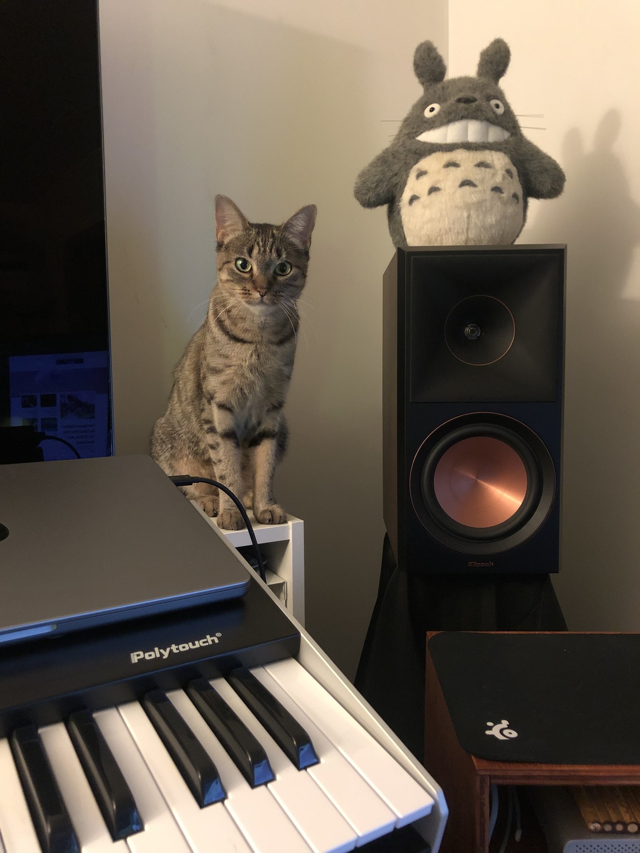 Lola perches beside Totoro, who is perched on a speaker.