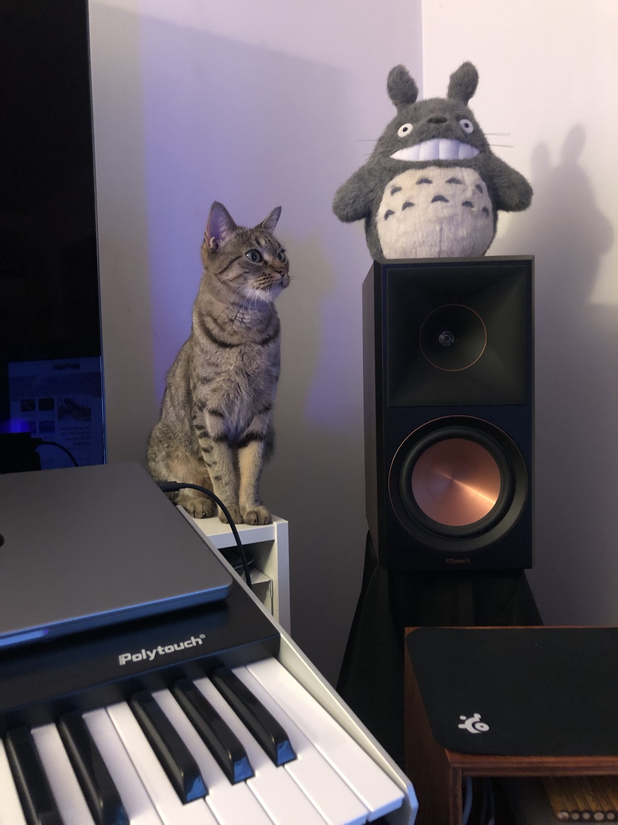 Lola gives us a profile shot.