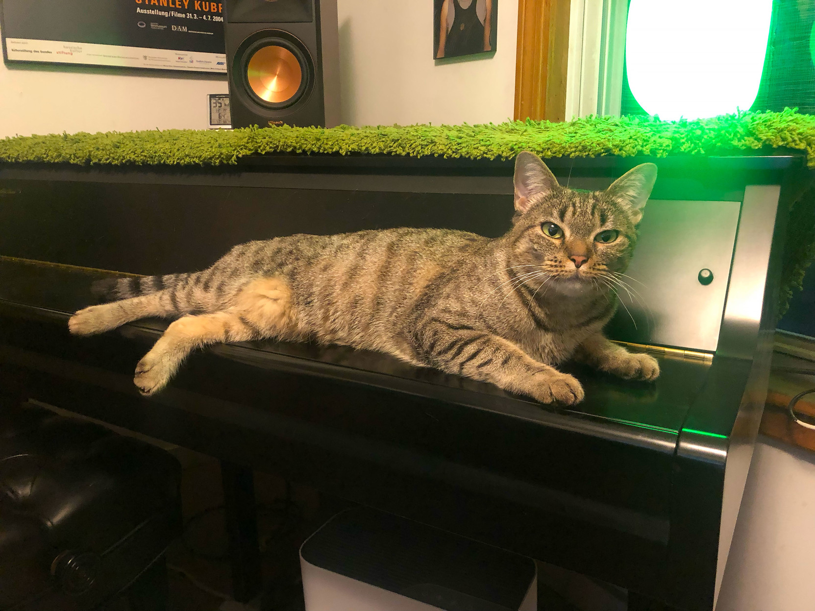 Lola’s on the piano’s closed keyboard, right below a bright green Ikea desk lamp. She wants to talk about food, and how there can be more of it all the time.