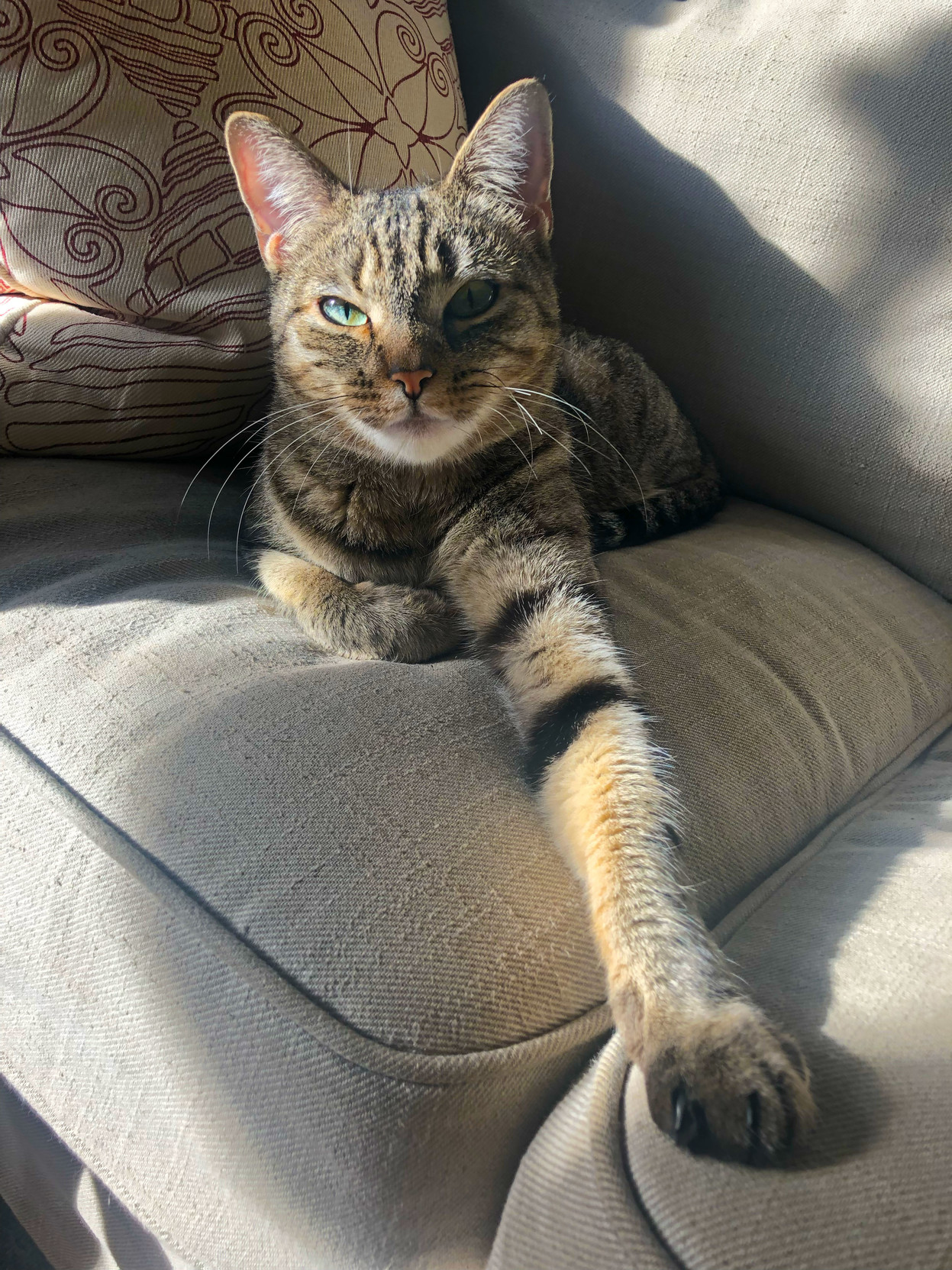 When I talk to Lola, she reaches out to me. What a beauty.