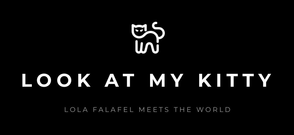 A screen grab from my new site … it reads “Look At My Kitty.”

It has the cutest little cat icon.