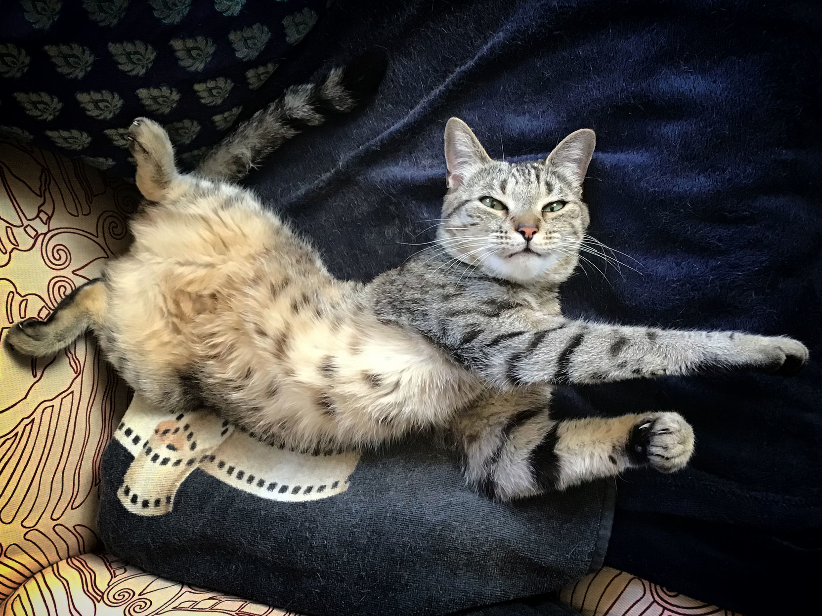 Lola does her best Christopher Reeve impression.