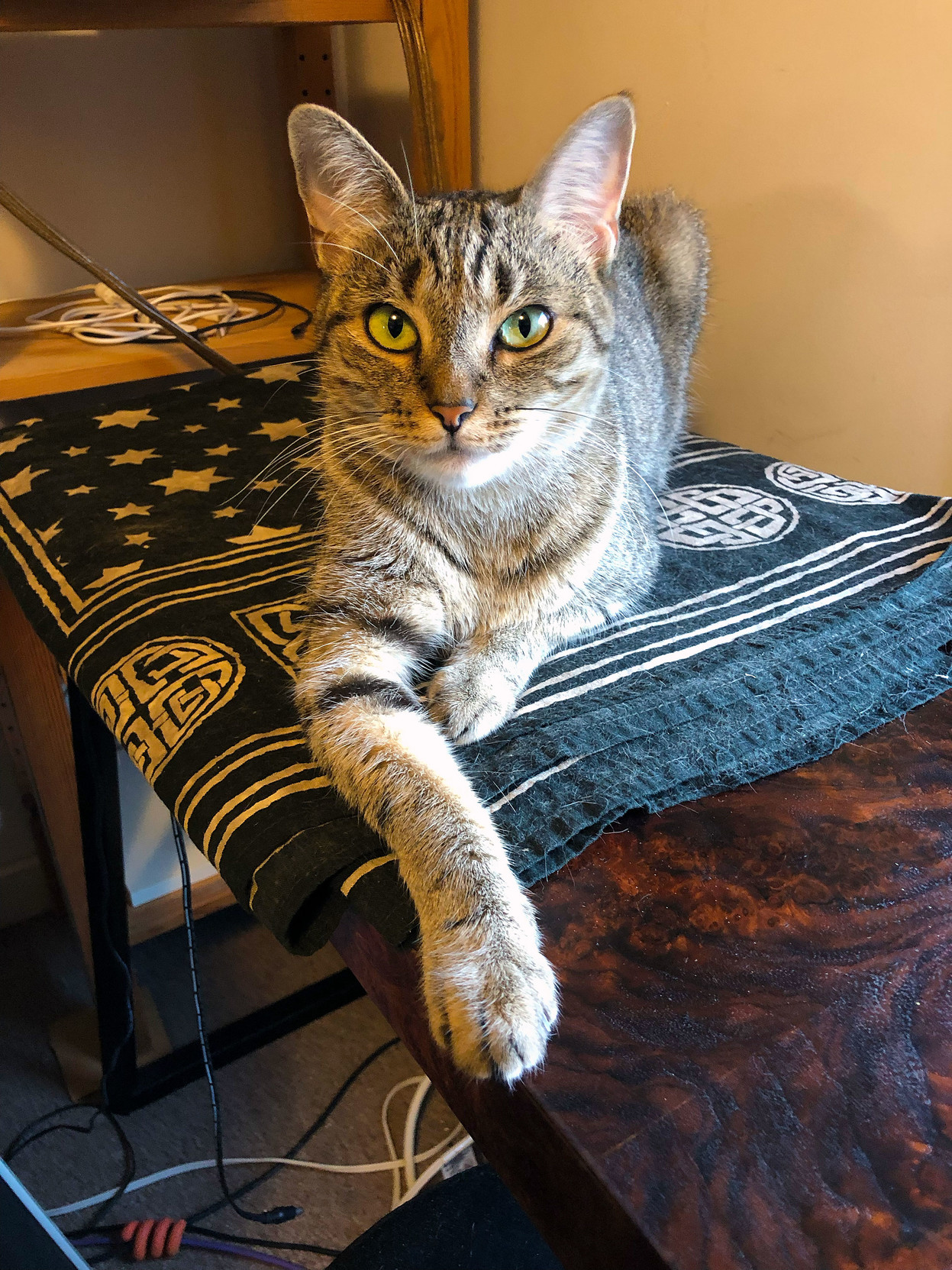 Lola Falafel does the sphinx.