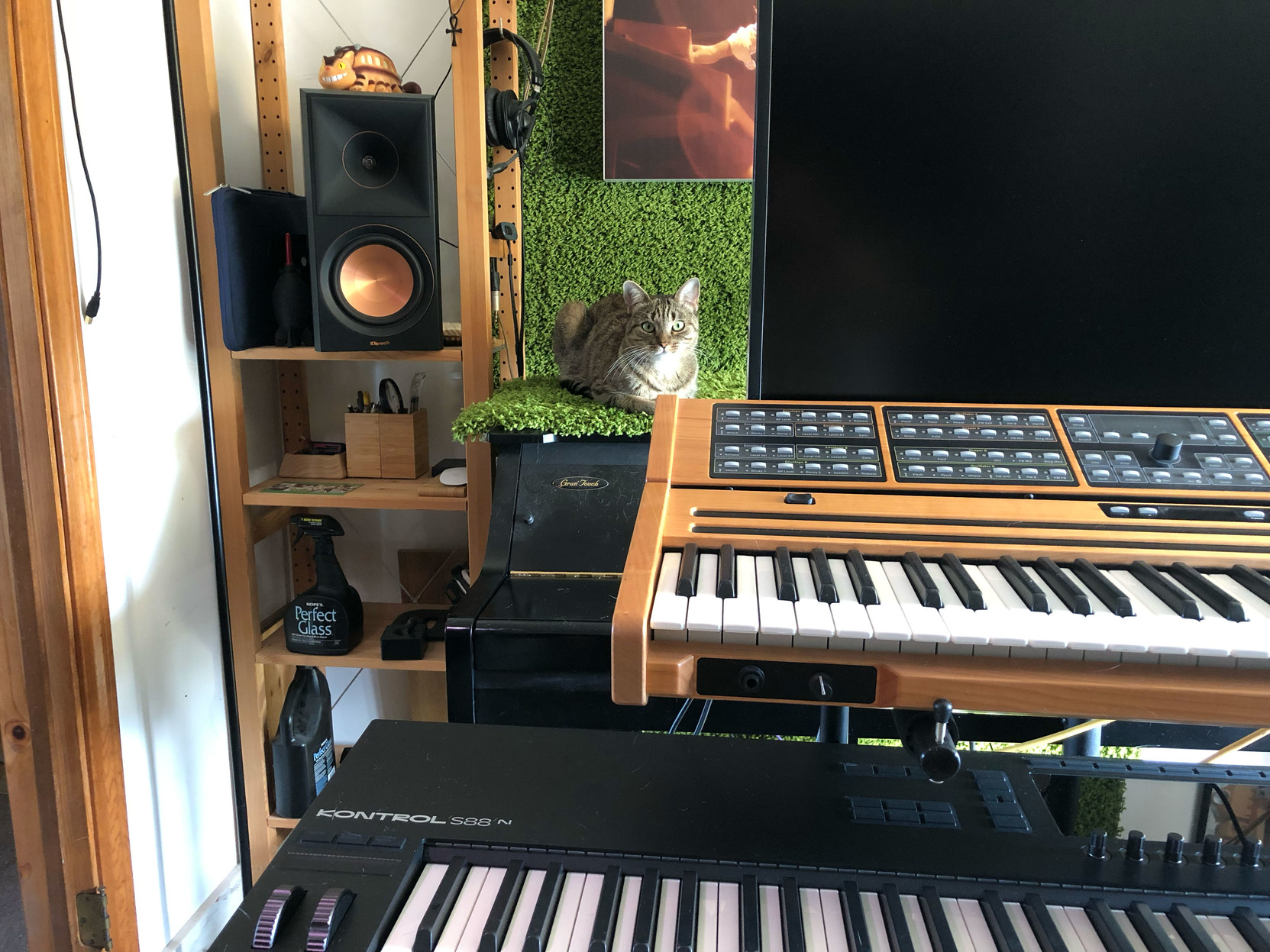 Lola in her peek-a-boo spot.