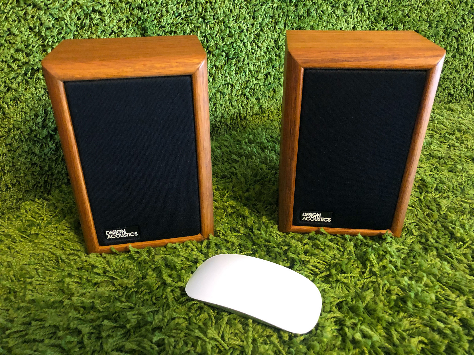 Apple mouse for scale.