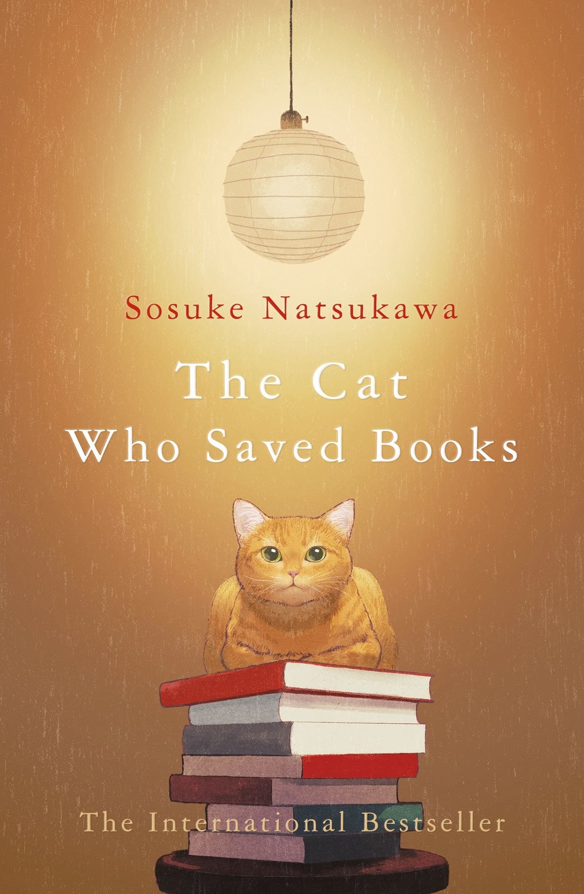 The front cover of “The Cat Who Saved Books” shows a cute ginger, sitting atop a stack of books.
