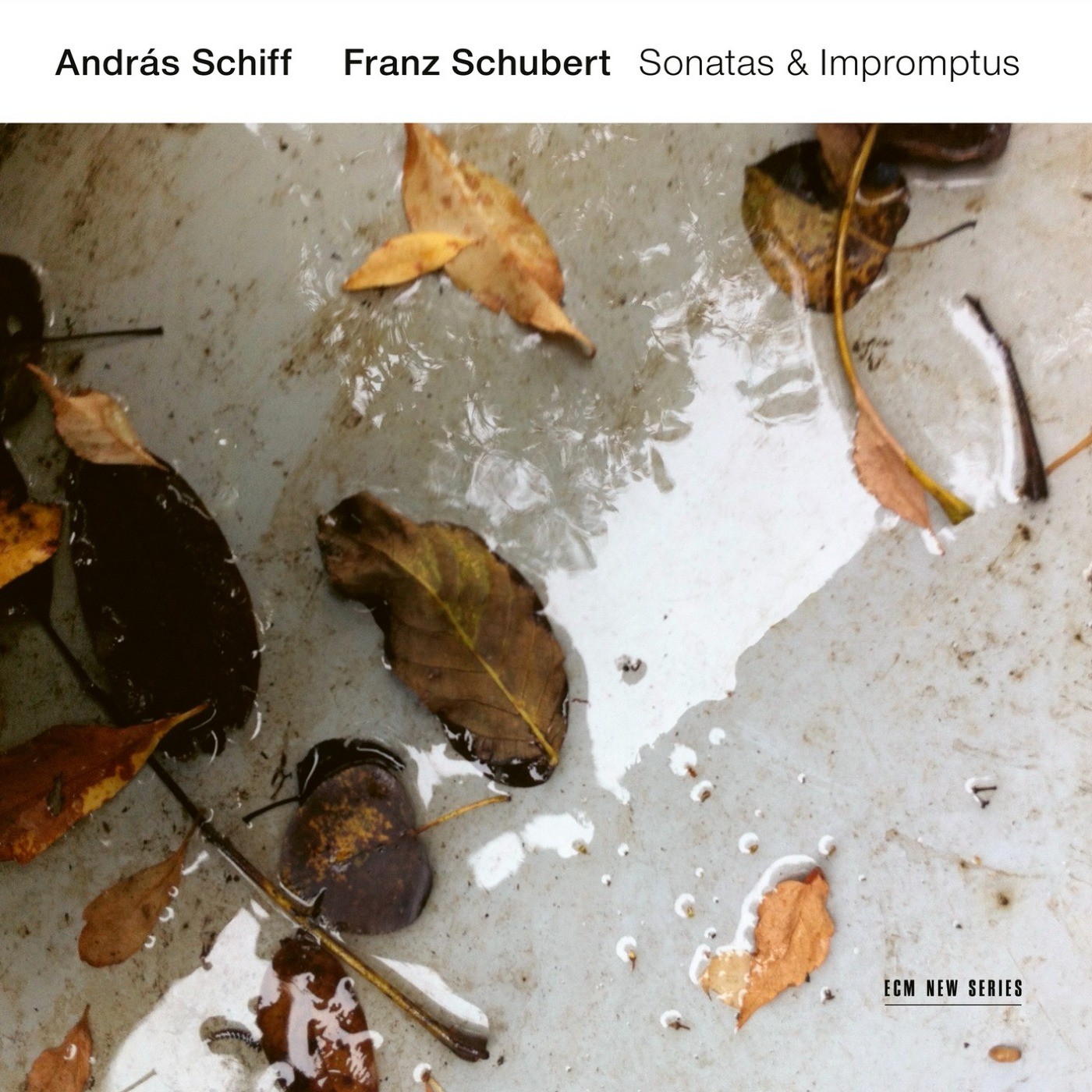 Cover art for “Andras Schiff – Franz Schubert Sonatas & Impromptus” on ECM