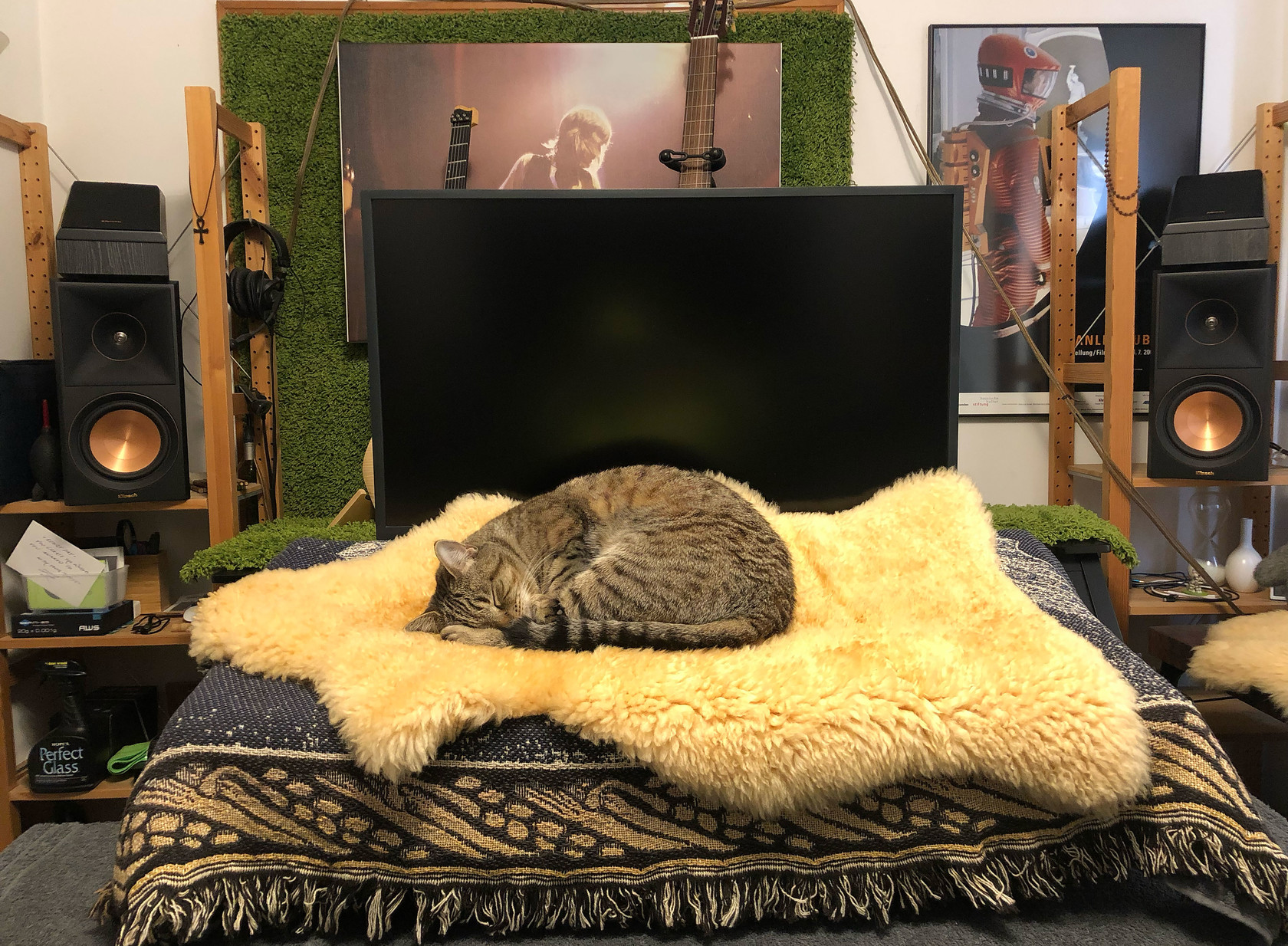 Lola takes a nap after all the excitement of opening new boxes. This is facing the rear of the studio.