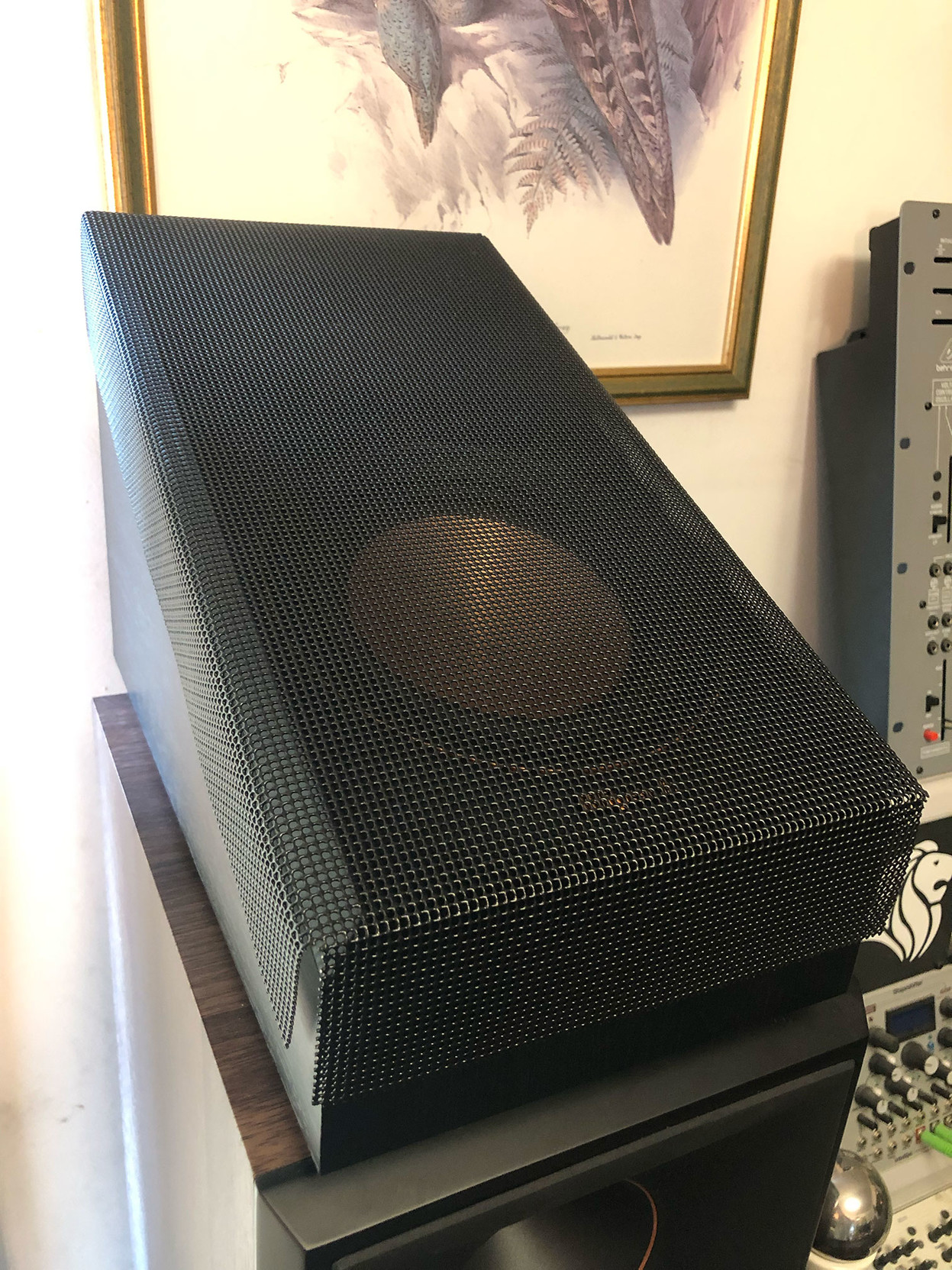 One of the protective covers I made, sitting on top of an upward-facing Klipsch Atmos speaker. 

Lola’s a good girl, and I think she’s figured out that jumping on the speakers is inadvisable … still, a little protection is good insurance.