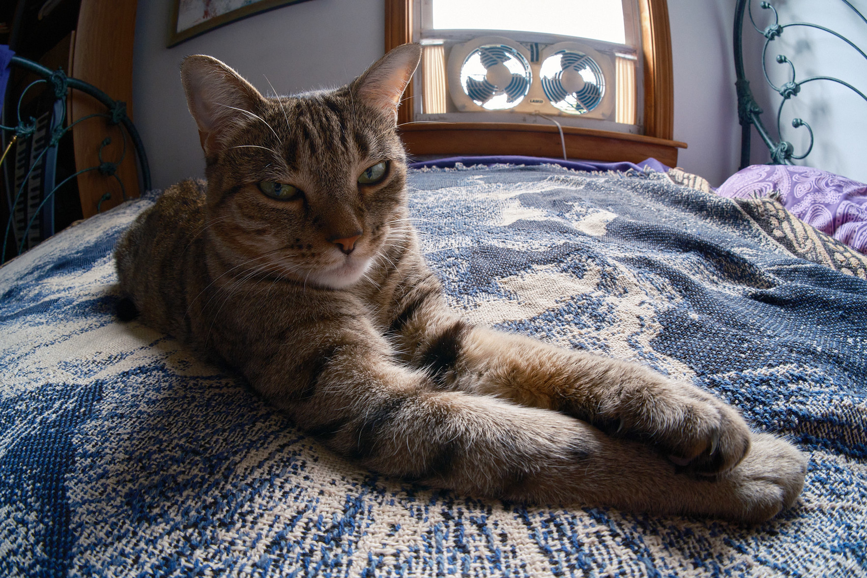 Oh, really? She’s thinking … another lens? Can I get no rest?