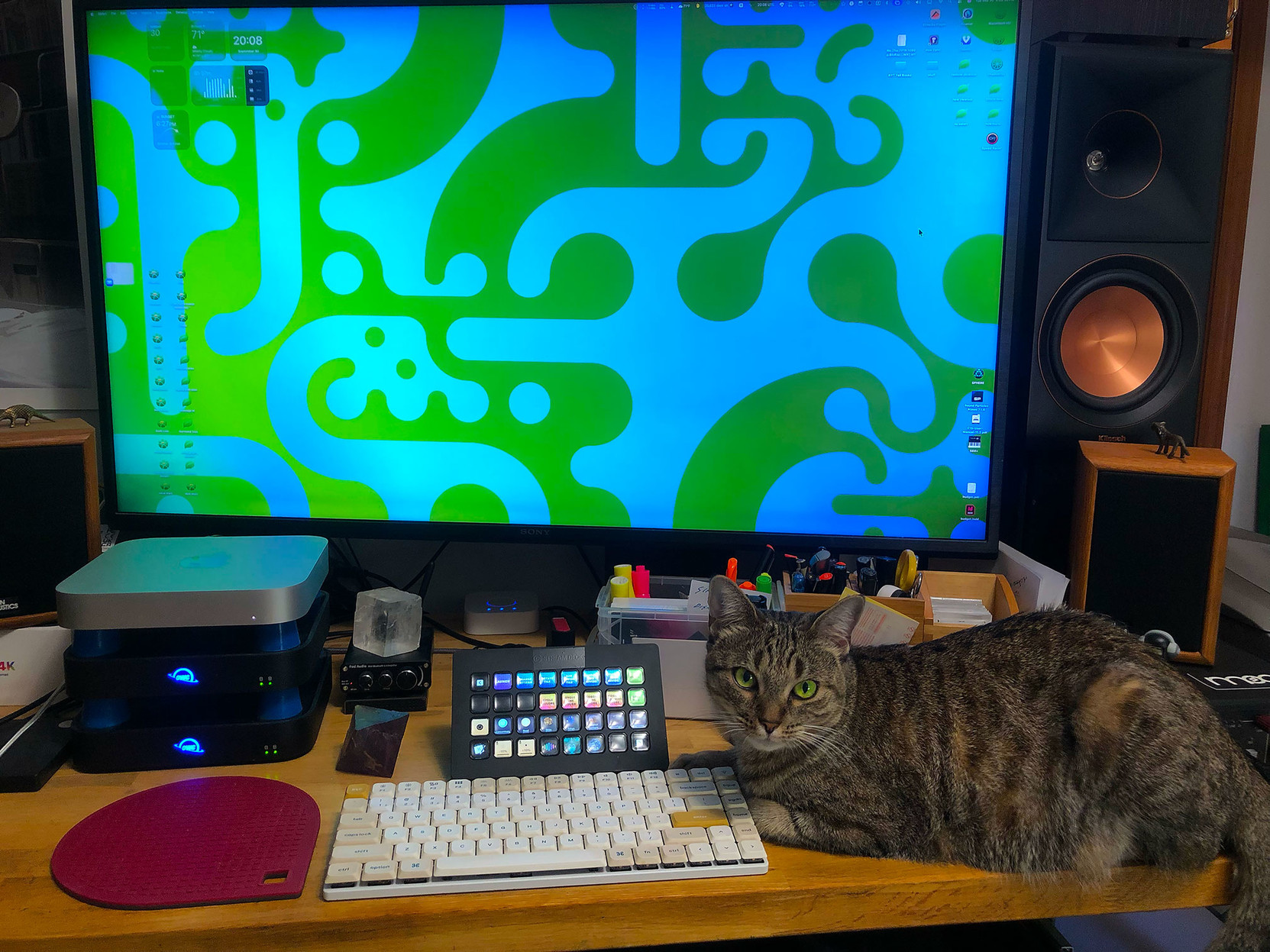 Lola the kitty, contentedly hanging out on the desk. The monitor desktop is a multi-scale Truchet pattern I generated and colorized.

She kept trying to sit on the numeric keypad – which raised a ruckus – so I moved it out of the way.