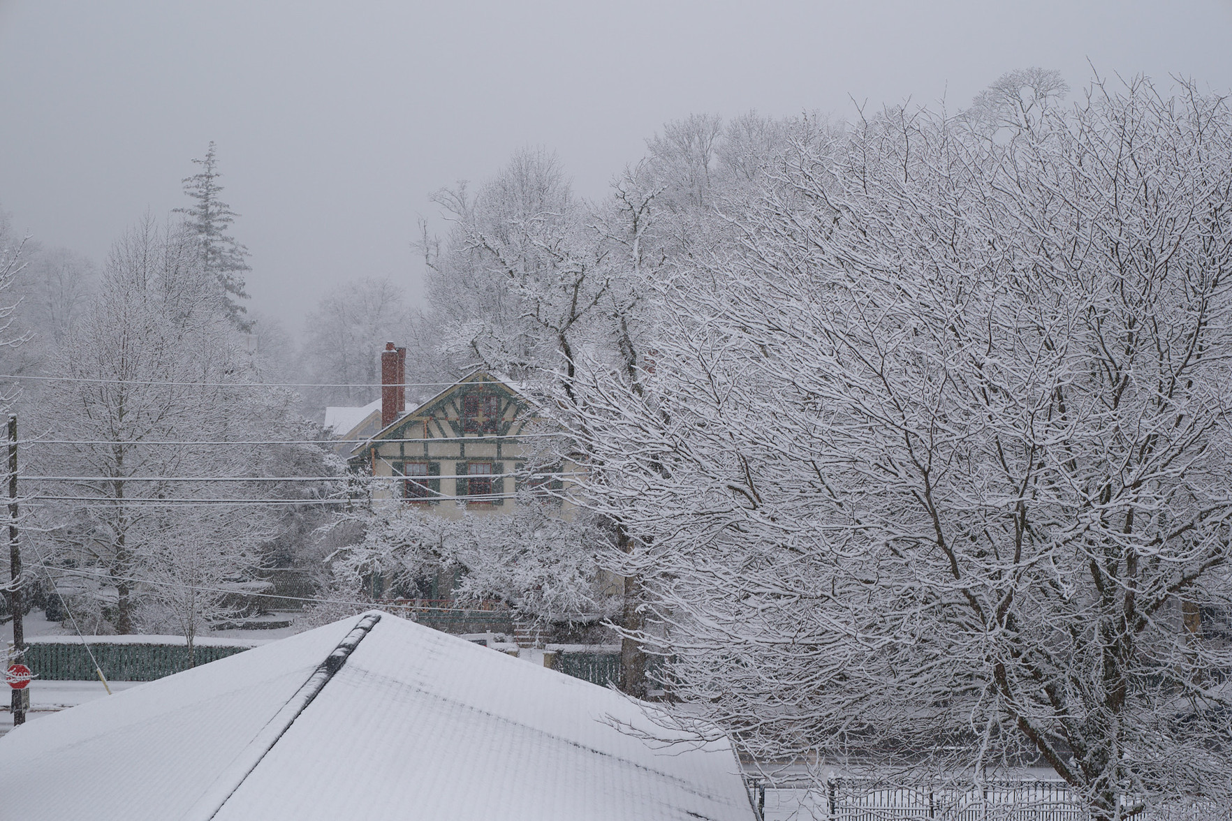 The first snow of the season, as seen from my kitchen window.