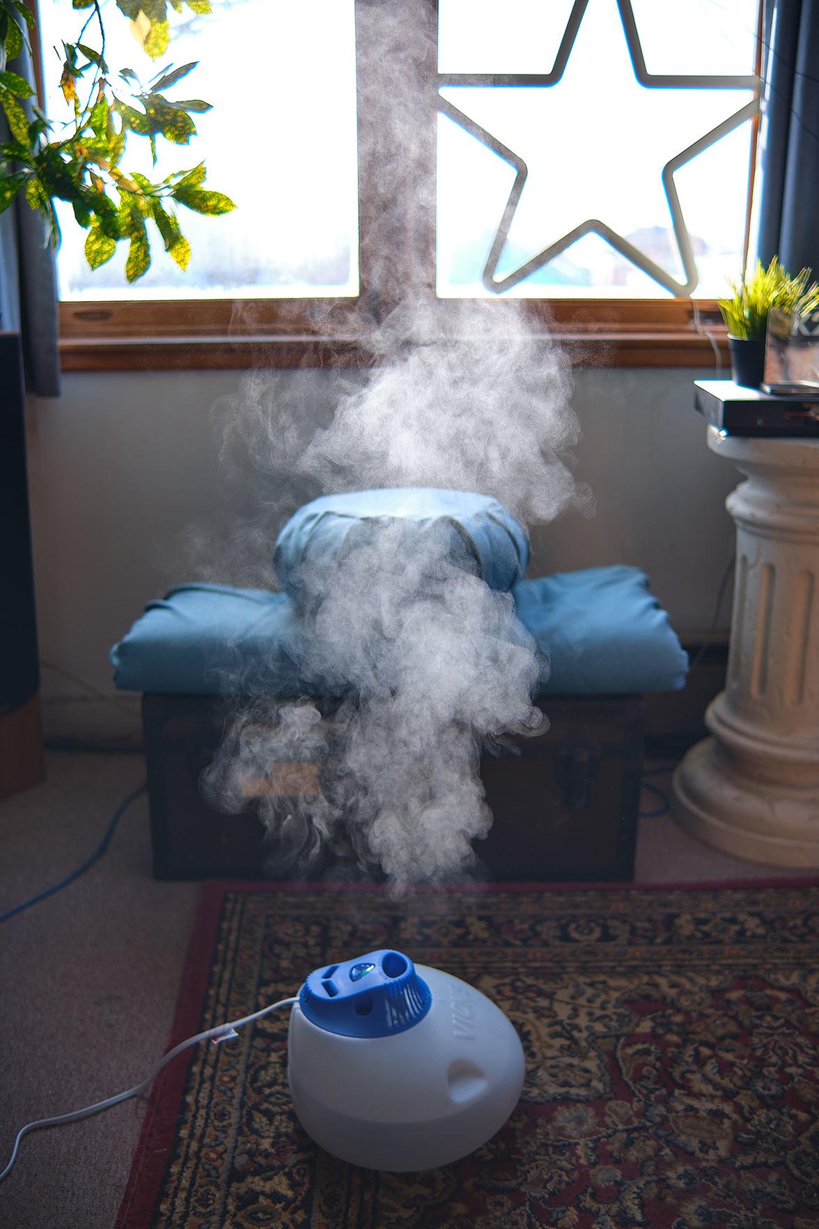 A cloud of steam rises over my little Vicks vaporizer, as it pumps much-needed moisture into the air. 